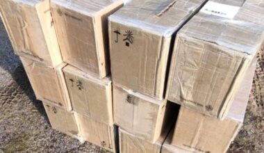 Sulaikyti 29-erių ir 30-ies vyrai, dar du – ieškomi: kontrabandininkai įkliuvo pasieniečiams