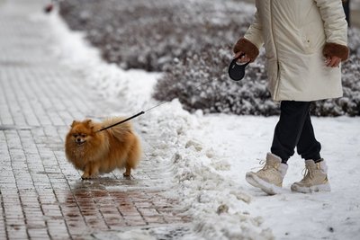 Vilnių nuklojo sniegas