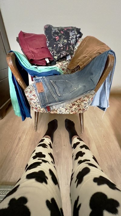 Aušra Malinauskienė suskaičiavo turinti 28 kelnes