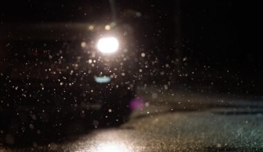 Sinoptikas – apie savaitgalio orus: temperatūra sparčiai kris