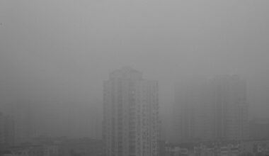 Karas Ukrainoje. Ukrainos kariai sustabdė puolimą: štai kas tapo spąstais rusams