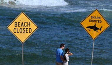 Ryklys Australijoje užpuolė du turistus: vienas mirė