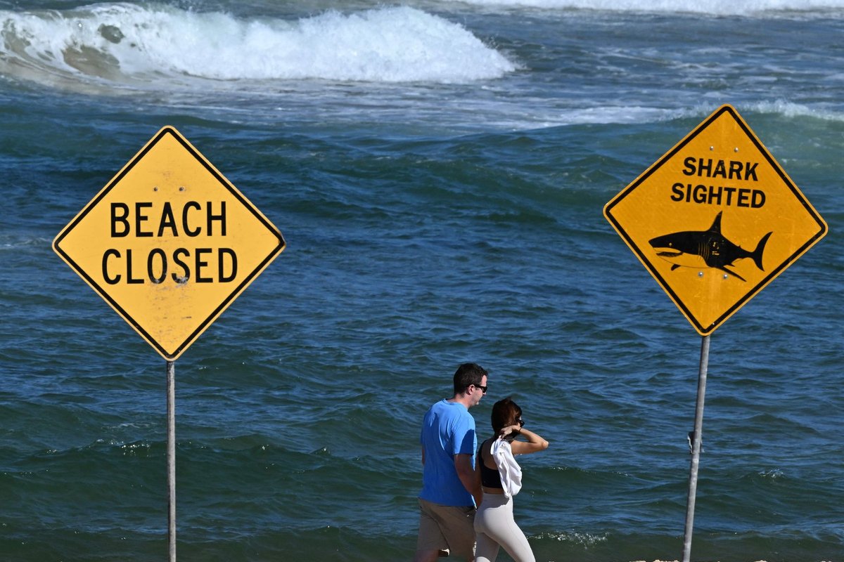Ryklys Australijoje užpuolė du turistus: vienas mirė