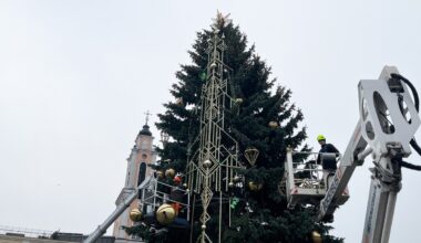 Kauno eglė jau pasipuošė išskirtiniais ornamentais