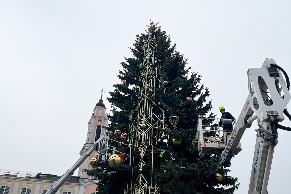 Kauno eglė jau pasipuošė išskirtiniais ornamentais
