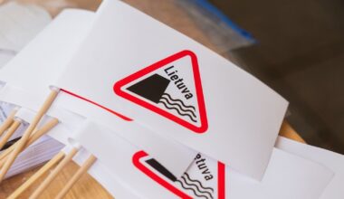 Masteikaitė apie kultūros asamblėjos judėjimą: tai nėra politinis judėjimas