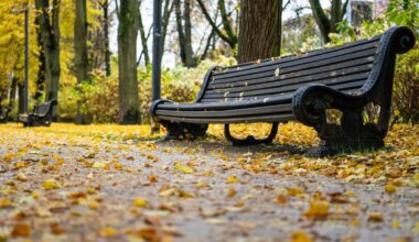 Sinoptikai atnaujina orų prognozę ir turi gerą žinią