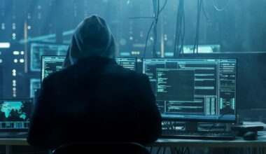 Lenkijoje sulaikytas rusų programišius - Delfi