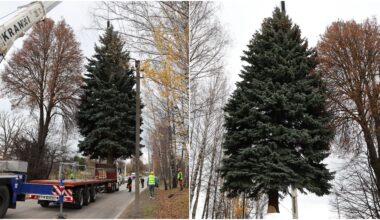 prasideda kelionė į Rotušės aikštę