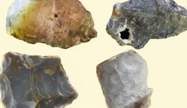 Archeologai padarė stulbinantį atradimą, kuris pakeičia žmogaus evoliucijos sampratą