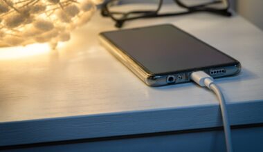 Ar nenaudojamus kroviklius reikia išjungti iš lizdo ir kiti klausimai: ekspertai atsako