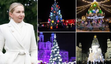 Kauno eglės puošyba: nauja įmonė, naujas stilius