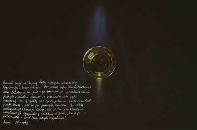 „Stiklinė su šlapimu. Dukra dėl smurto artimoje aplinkoje išgyveno nuolatinį stresą. Tai sukėlė enurezę. Naktį ji pabusdavo šlapioje lovoje. Kai tėvas tai pastebėdavo, jis vertė ją šlapintis į stiklinę ir gerti šlapimą, kad ji suprastų, jog šlapintis į lovą blogai.“ Aut. Alexander Vasukovich 