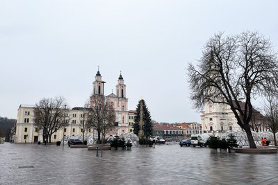 Kauno kalėdinės eglutės pristatymas