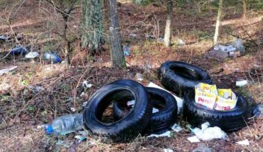 Šokiruojantis miškininkų radinys – 5 tonos išmestų padangų