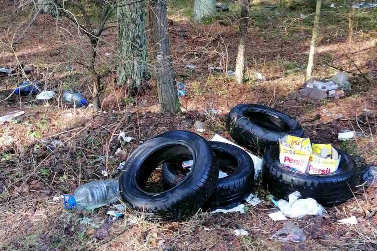 Šokiruojantis miškininkų radinys – 5 tonos išmestų padangų