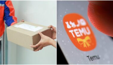 Iš „Temu“ „kalėdinę dekoraciją užsisakiusi Diana negalėjo patikėti, ką gavo: parodė visiems