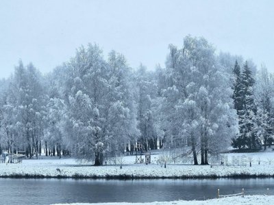 Balta sniego skraiste pasidabinusi Kelmė (2025-11-17)
