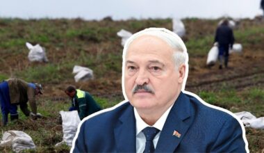 Lukašenkai nepatiks? Baltarusiai vis mažiau valgo bulvių ir tingi jas valyti