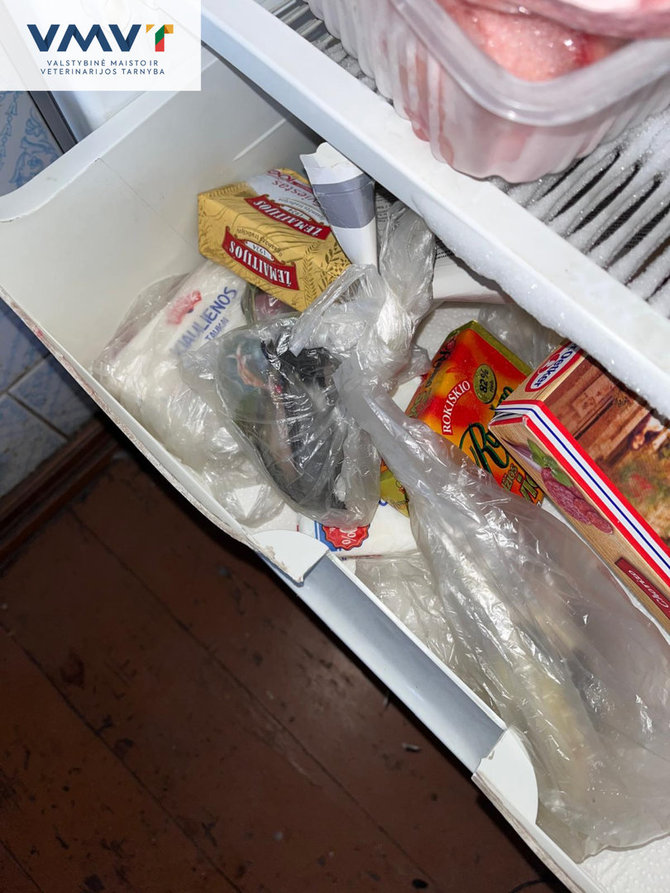 VMVT nuotr./Gaišenos