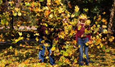 Atkeliauja malonios orų permainos: lietų keis saulė - 15min.lt