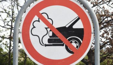 Griūna grandioziniai Europos Sąjungos planai? Didėja įtampa dėl vidaus degimo variklių draudimo