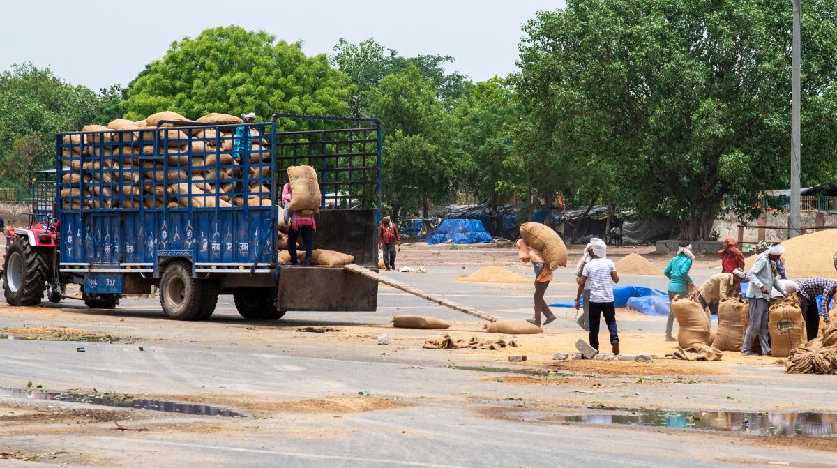 Mano ūkis - Pasaulio agronaujienų panorama: nuo sojų diplomatijos iki klimato iššūkių