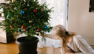 Prasidėjo prekyba gyvomis Kalėdų eglėmis: štai kokios šįmet jų kainos | Verslas