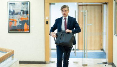 Kęstutis Budrys nurodė, ką Vengrijos ministrui turėjo pasakyti Remigijus Žemaitaitis