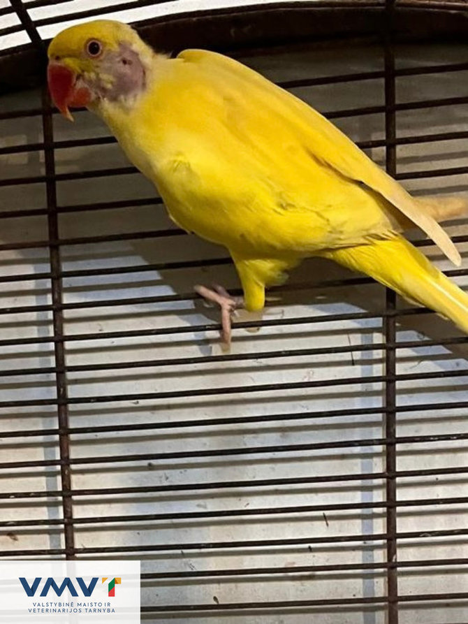 VMVT nuotr./Konfiskuoti egzotiniai gyvūnai