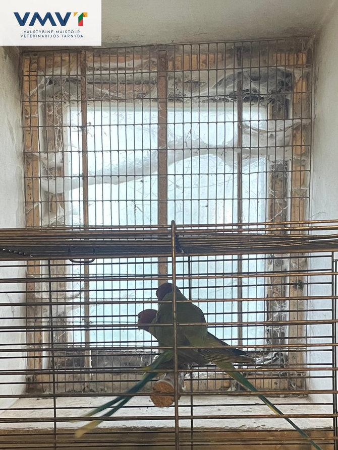 VMVT nuotr./Konfiskuoti egzotiniai gyvūnai