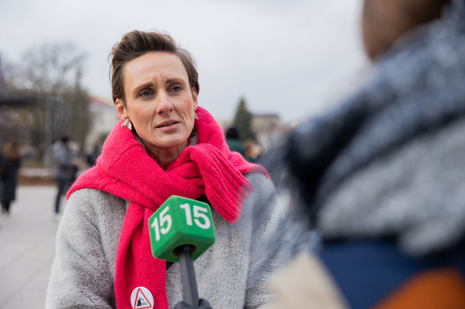 Patricija Adamovič / BNS/Kultūros bendruomenės finalinis mitingas