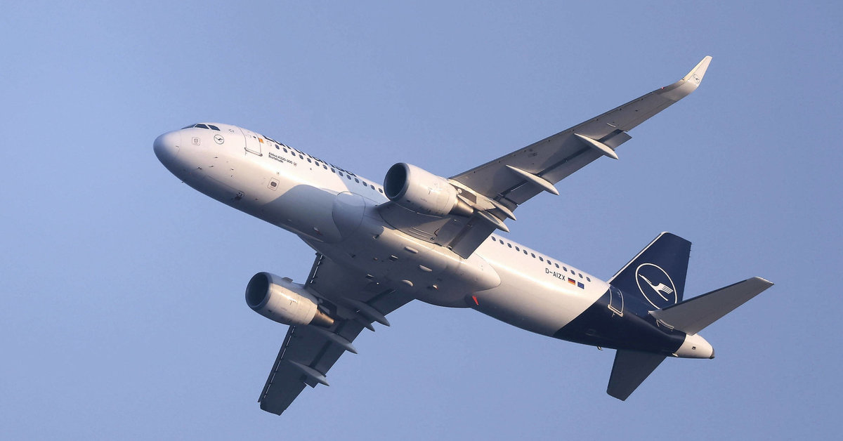 Vietoj Vilniaus Kaune nusileidusiame lėktuve iš Tenerifės – sumaištis: du keleiviai pabėgo | Verslas