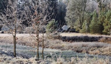 Lietuvą suspaudė šaltukas: kai kur – šalčiausia rudens naktis