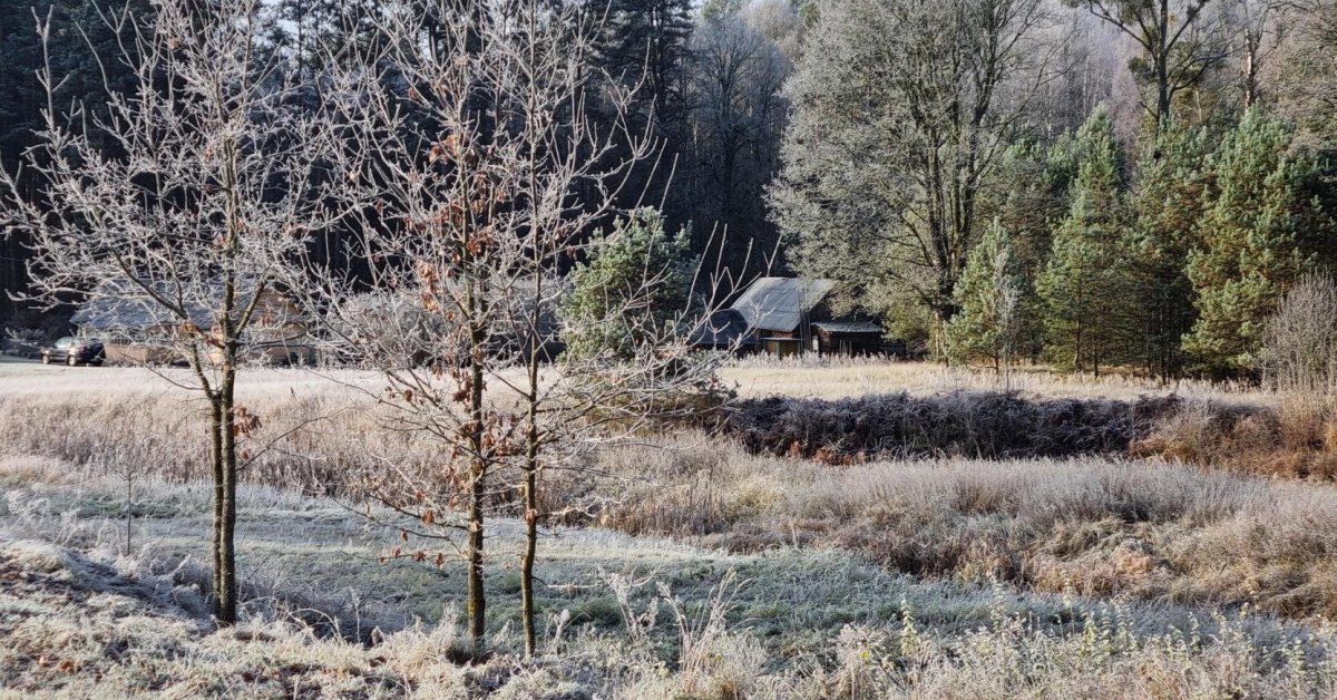 Lietuvą suspaudė šaltukas: kai kur – šalčiausia rudens naktis