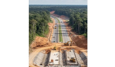 Aistras kelia medžių kirtimas ir Brazilijoje: ar tikrai taip ruoštasi klimato kaitos konferencijai?