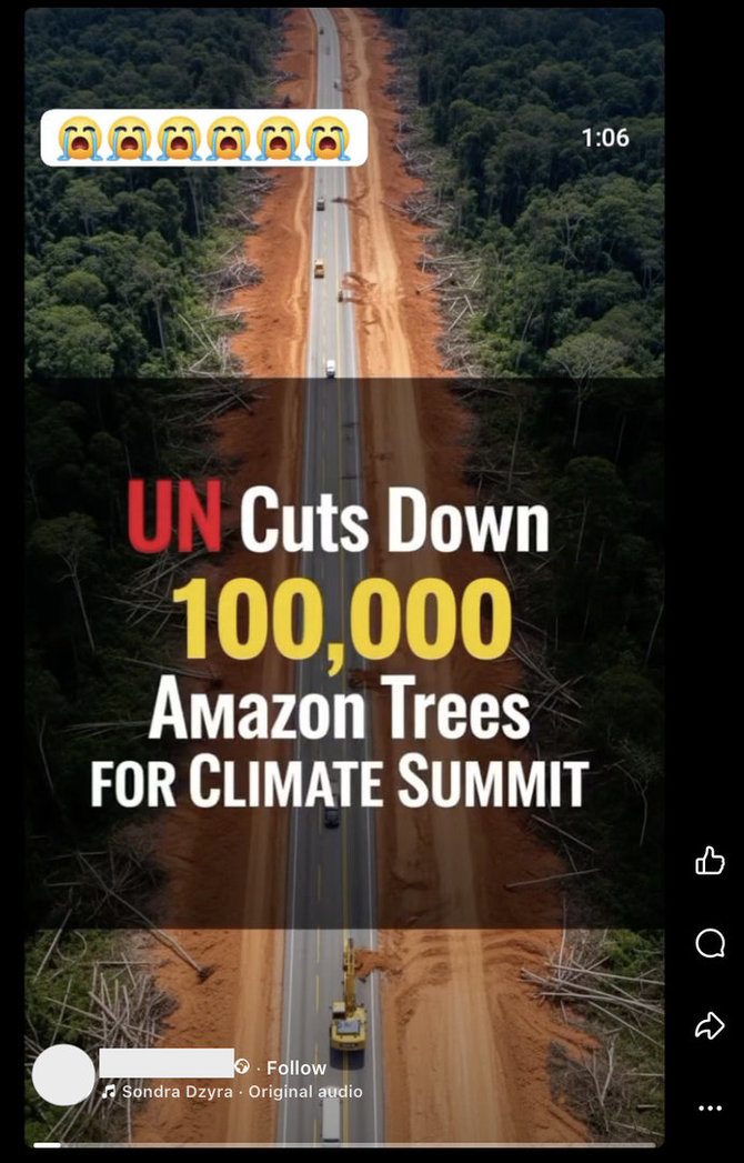 Ekrano nuotr. iš „Facebook“/Medžių kirtimu Amazonijoje piktinamasi ir Lietuvoje