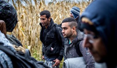 Europos migracijos ataskaitos vertinimai – nuo pagyrimų iki kaltinimų „kapituliacija“