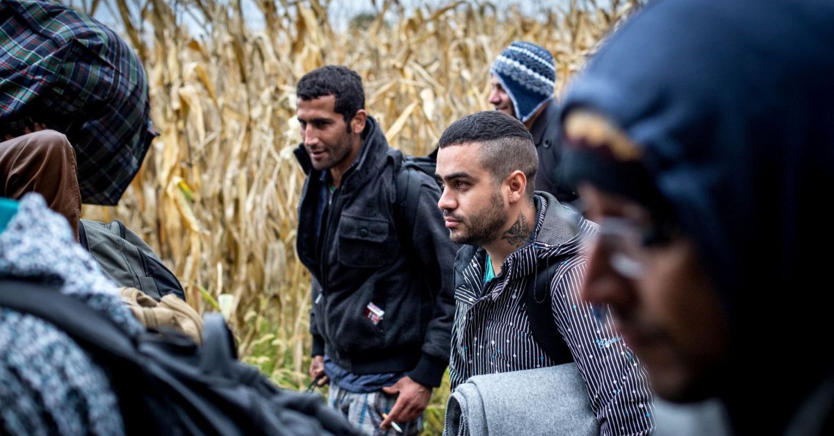 Europos migracijos ataskaitos vertinimai – nuo pagyrimų iki kaltinimų „kapituliacija“