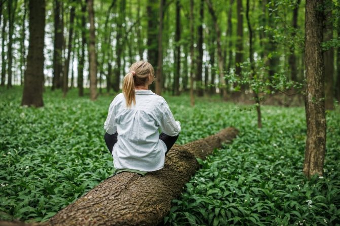 Shutterstock nuotr./Miško terapija