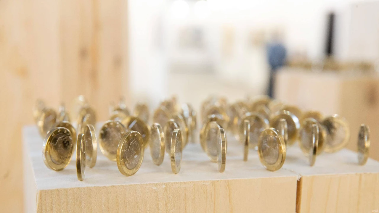 Premjerė: pinigų Čiurlionio parodai Japonijoje bus