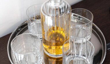 Europos Aukščiausiasis teismas: jokio nealkoholinio džino