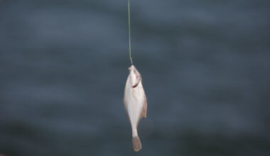 Už brakonieriavimą iš žvejų planuojama atimti automobilius - 15min.lt