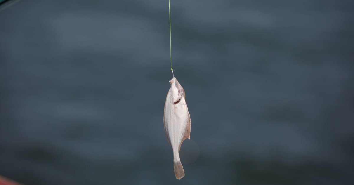 Už brakonieriavimą iš žvejų planuojama atimti automobilius - 15min.lt