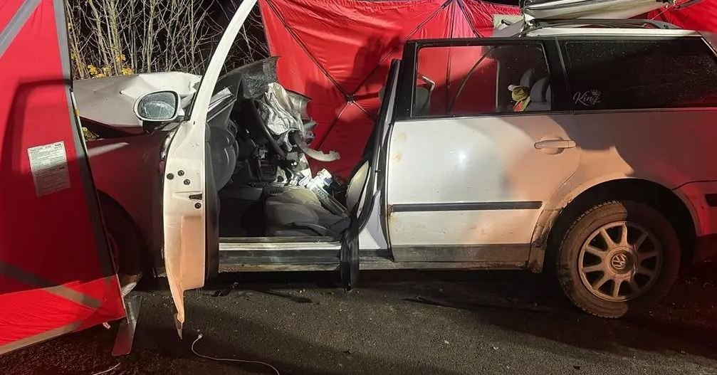 Žiauri avarija Lenkijoje: 2 paauglės žuvo po automobilio smūgio į medį