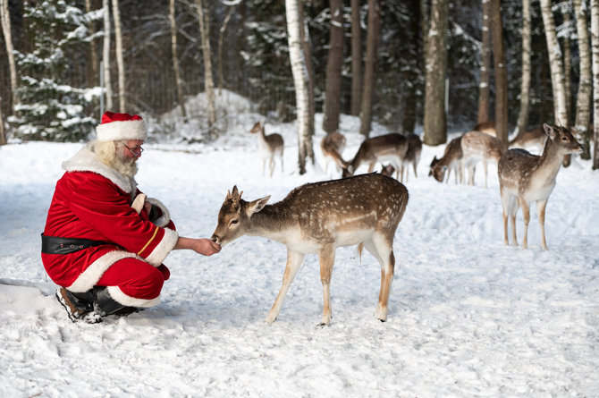 „Perlinių danielių parko“ archyvo nuotr. / „Perlinių danielių parkas“