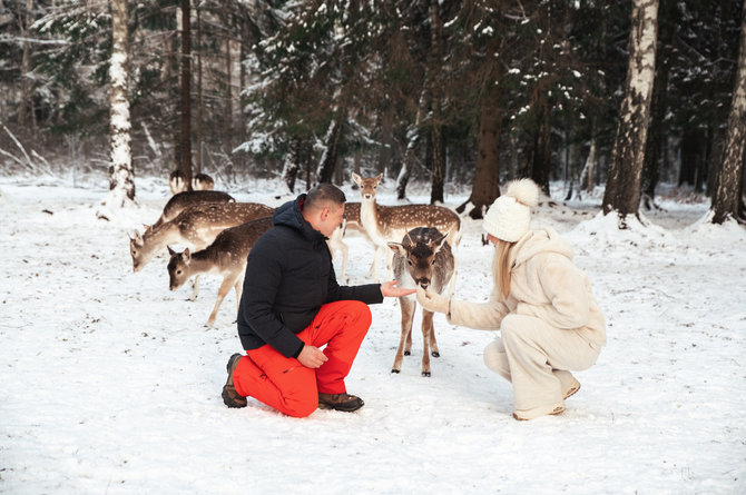 „Perlinių danielių parko“ archyvo nuotr. / Karolis ir Erika, „Perlinių danielių parkas“
