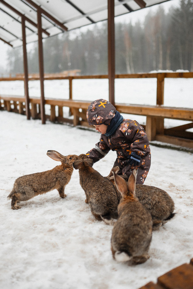 „Perlinių danielių parko“ archyvo nuotr. / „Perlinių danielių parkas“