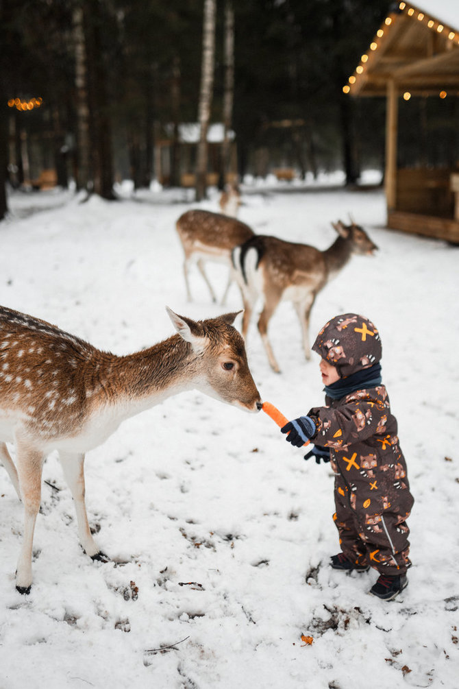 „Perlinių danielių parko“ archyvo nuotr. / „Perlinių danielių parkas“
