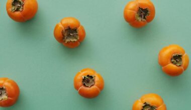 kam naudingi persimonai ir dėl ko gali kilti problemų?